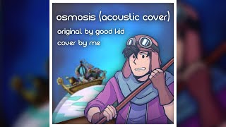 Osmosis  Good Kid Acoustic Cover [upl. by Ahkos]