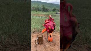 Survival Skills steam bad water in Dragon fruit camping outdoors bushcraft useful [upl. by Olga]