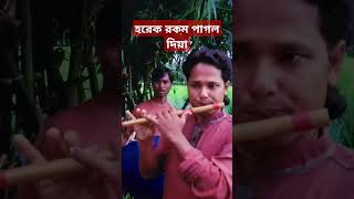 হরেক রকম পাগল দিয়া  horek rokom pagol diya  বাঁশির সুরে  madhob basi মাধব বাঁশি। [upl. by Ahsieym]