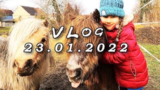 VLog 23012022 bei allen Tieren [upl. by Enywtna]