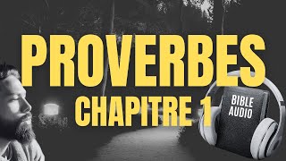 PROVERBE 1  LA BIBLE AUDIO avec textes [upl. by Rego902]