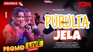 PURULIA JELA 2024 কল্পনা দিদির নতুন গান New santali program Dabung dance video 2024 [upl. by Nived10]