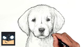 How To Draw a DOG  GOLDEN LAB PUPPY  Sketch Saturday [upl. by Yenitsed]