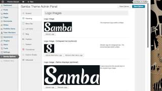 Samba Theme  Options Panel [upl. by Rodgiva]