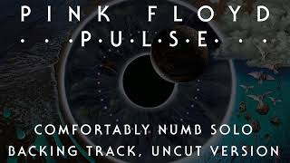 Pink Floyd  Comfortably Numb Solo Backing Track PULSE Uncut Version [upl. by Gebelein]