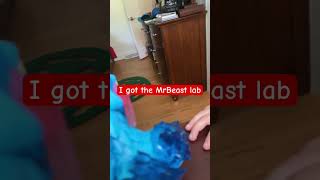 I got the MrBeast lab [upl. by Niarfe701]