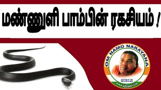 மண்ணுளி பாம்பின் ரகசியம்   ujiladevi tamil [upl. by Eyoj]