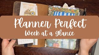 Planner Perfect Week at a Glance Plan With Me [upl. by Madonna158]