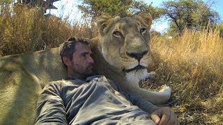 GoPro Lions  The New Endangered Species [upl. by Moises]