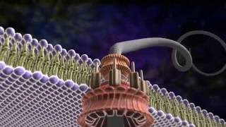 Amazing Flagellum  Michael Behe and the Revolution of Intelligent Design [upl. by Adnak]