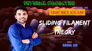 Sliding filament theory by Rahul sir  Muscular system  Physiology  Physical education  UGC NET [upl. by Adikram]