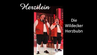 Herzilein  Die Wildecker Herzbuben [upl. by Jasmina]