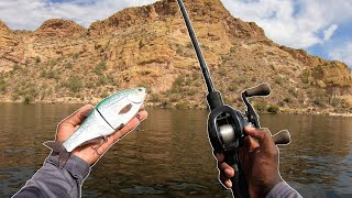 Fishing A SECRET Canyon Lake In The Middle Of The Desert For Big Fish [upl. by Anirbas]