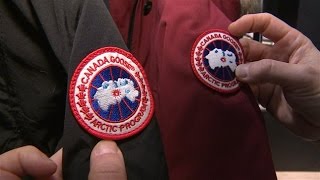 Mode Canada Goose  très chères doudounes [upl. by Rosella]