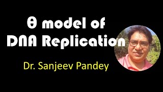 Theta Model of DNA replication [upl. by Aviva922]