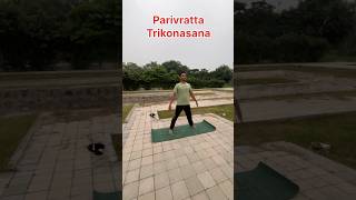 Twist and Stretch with Revolved Triangle Pose shortsvideo yogaposes trikonasana trianglepose [upl. by Aniv]