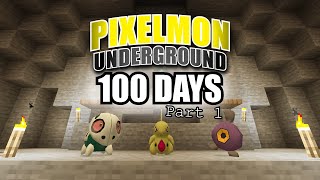 We spent 100 days in Pixelmon Underground days 110 [upl. by Araic]