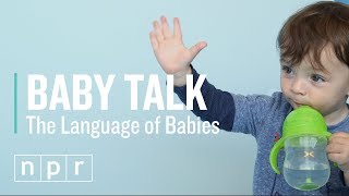 Baby Talk  Lets Talk  NPR [upl. by Raffaello201]