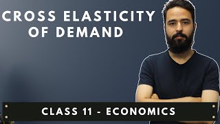 Cross elasticity of demand  Types  Grade 11  Economics [upl. by Wanonah]