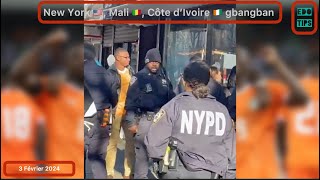 Affaire de CAN 2024 palabre Maliens ivoiriens  un Malien arrêté par la police de New York [upl. by Nitin]