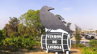 Bemvindos ao Parque Vinícola de Lisboa 🌳🍷 [upl. by Bertila]