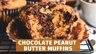 High Protein Muffins recipe made with Pinole Chia Oatmeal  Amazing Chocolate Peanut Butter Muffins [upl. by Alliw]