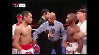 Nonito Donaire vs Moruti Mthalane  Raul Marian Box [upl. by Akenom]