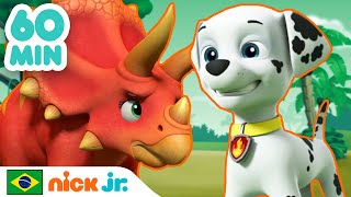 Patrulha Canina  60 MINUTOS da nova Patrulha Canina  Nick Jr em Português [upl. by Flowers]