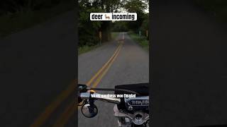 I ALMOST HIT A DEER on my motorcycle closecall motorcycle harleydavidson [upl. by Antebi]