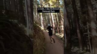 3 trails 1 day Redwood National Park 🌲 trailrunning hikingtrail nationalpark redwoods [upl. by Goltz162]