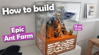 How to Build an EPIC Ant Farm  DIY Formicarium [upl. by Kopple]