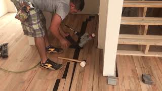 Fast Hardwood Installation [upl. by Consalve375]