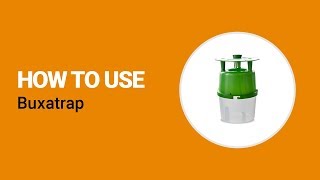 How to use Buxatrap from Koppert [upl. by Agn]