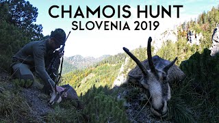 Chamois Hunt Gams Jagd Polowanie Kozice Caccia Camoscio Jakt Chasse Lov Gamsa Slovenia 2019 [upl. by Ronda978]