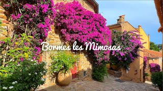 4K🇫🇷 BormeslesMimosas  A flower village that won the Entente Florare Gold Medal🥇🌺 2023 [upl. by Elbert]