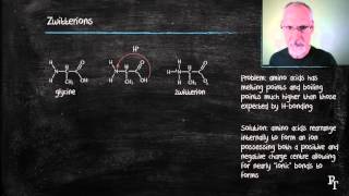 B21 Amino Acids [upl. by Nerrot54]