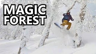 Magic Forest Snowboarding in Japan [upl. by Namzed]