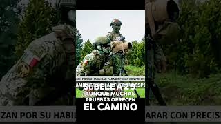 Francotiradores de las fuerzas especiales México 🇲🇽 gafes mexico marino army marines [upl. by Aynnek]