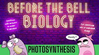 Photosynthesis Before the Bell Biology [upl. by Retep]