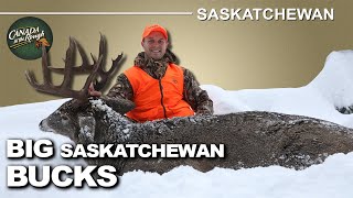 Late Season Deer Abundance in Saskatchewan  Canada in the Rough [upl. by Cynara]