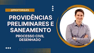 Providências Preliminares e Saneamento  Processo Civil Desenhado [upl. by Eelrahc25]