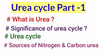 Urea cycle What is urea sources of urea nitrogen and carbonSignificance amp Reactions of Urea cycle [upl. by Florinda]