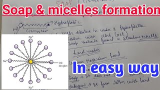 Soap and micelles formation in easy way with brief [upl. by Delastre608]