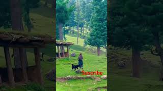 ❣️Av samj ni ayta hai kha Jana hai❣️ youtube short video suscribe [upl. by Sucramat]