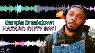 JPEGMAFIA  HAZARD DUTY PAY Sample Breakdown [upl. by Nolrah]