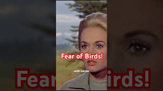 Fear of Birds is real What is Ornithophobia [upl. by Valley]