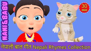 Meow Meow Biralo  Myau Myau Biralo Extended Mix  30 Mins  Nepali Rhymes  बाल गीत [upl. by Spiegelman]