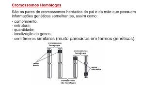 Ploidia cromossomos homólogos e cariótipo [upl. by Edie]