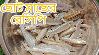 ছোট মাছের রেসিপি। choto macher recipefish ayeshakitchen890 [upl. by Rape]