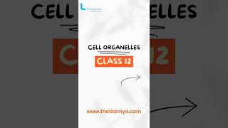 Cell Organelles biology shorts shortsfeed [upl. by Acinomaj608]